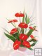 9 pc. Red Anthuriums